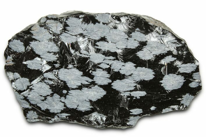 Snowflake Obsidian Section - Utah #327122